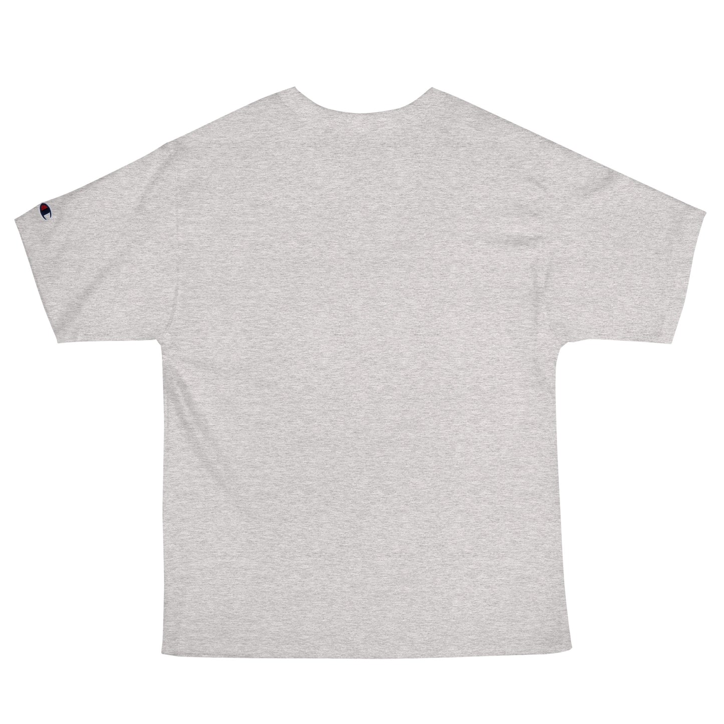 O151 - T-shirt/Oversize type/Champion (Pony : Gray)