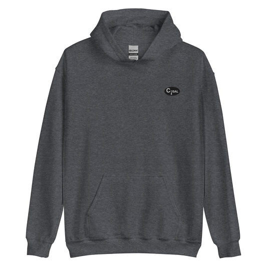 T001 - Unisex Hoodie (Charcoal/Embroidered Logo)