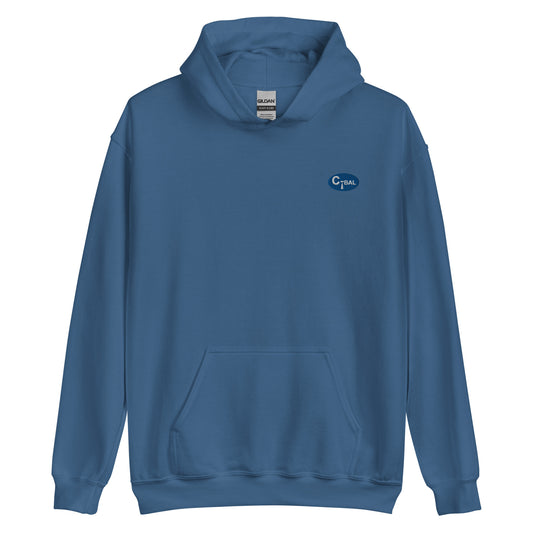 T002 - Unisex Hoodie (Blue/Embroidered Logo)